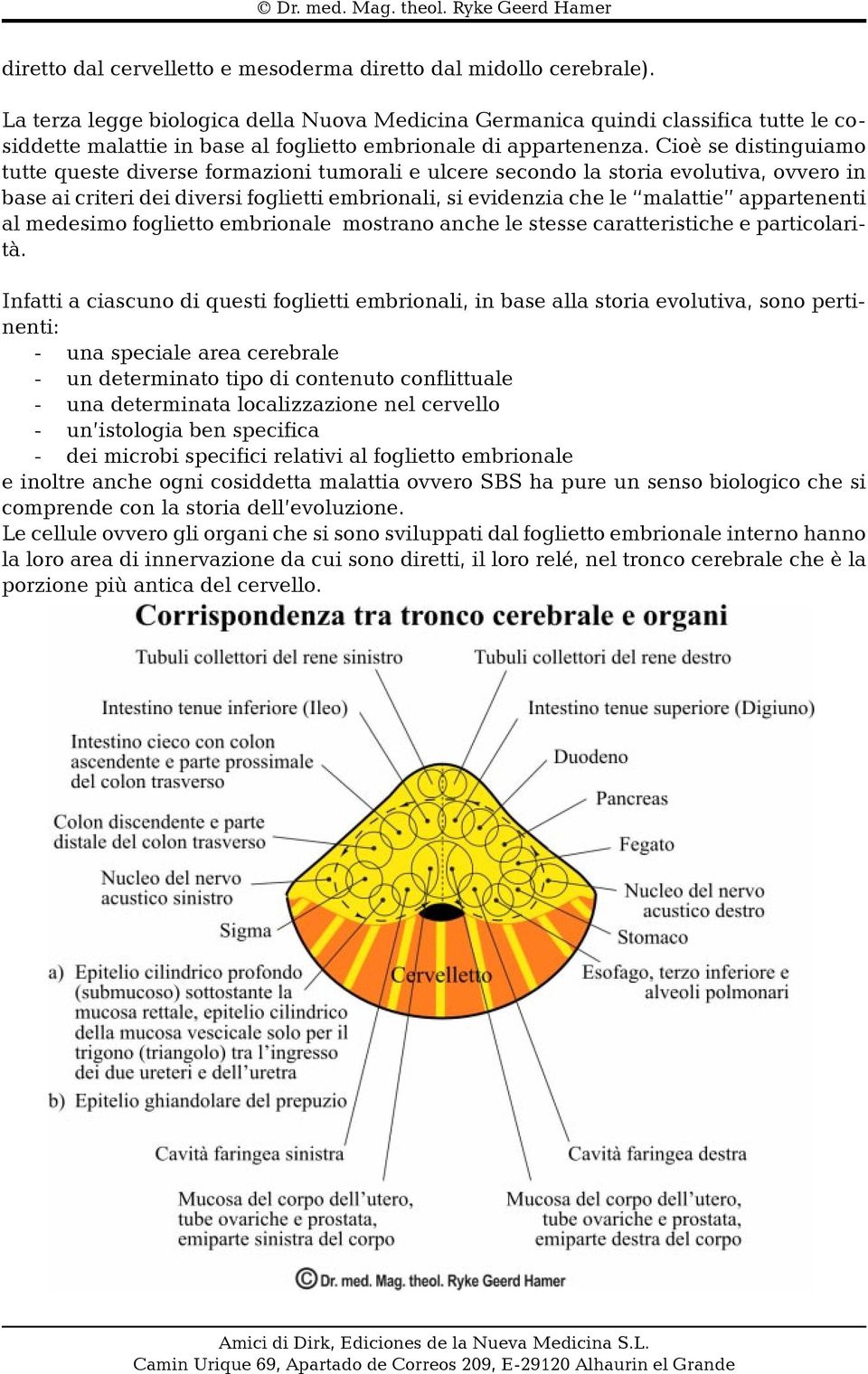 Cioè se distinguiamo tutte queste diverse formazioni tumorali e ulcere secondo la storia evolutiva, ovvero in base ai criteri dei diversi foglietti embrionali, si evidenzia che le malattie