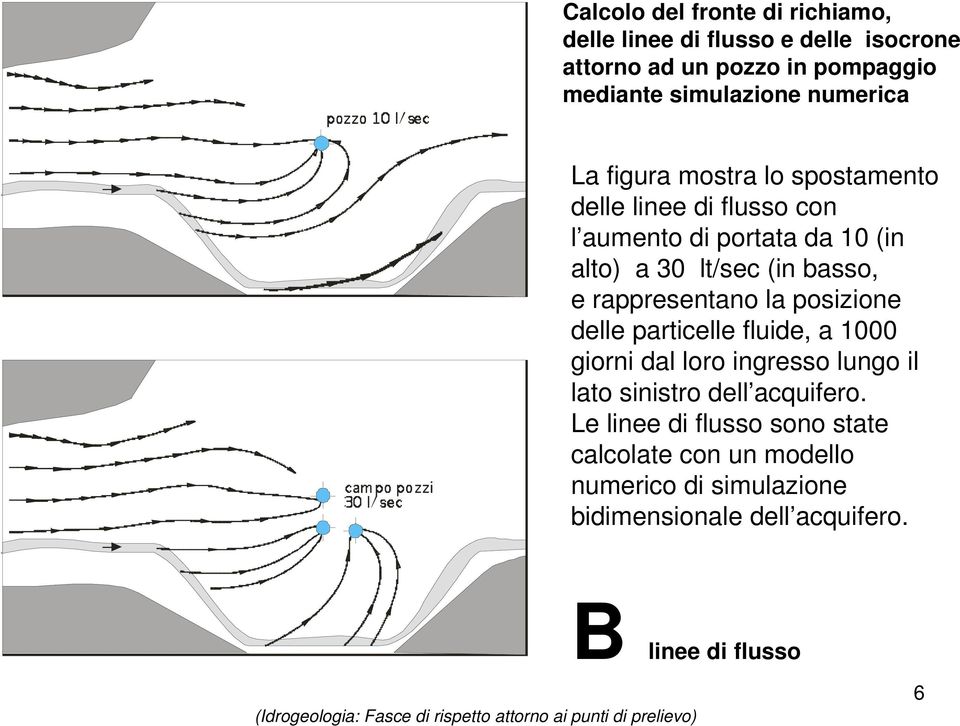 e rappresentano la posizione delle particelle fluide, a 1000 giorni dal loro ingresso lungo il lato sinistro dell acquifero.