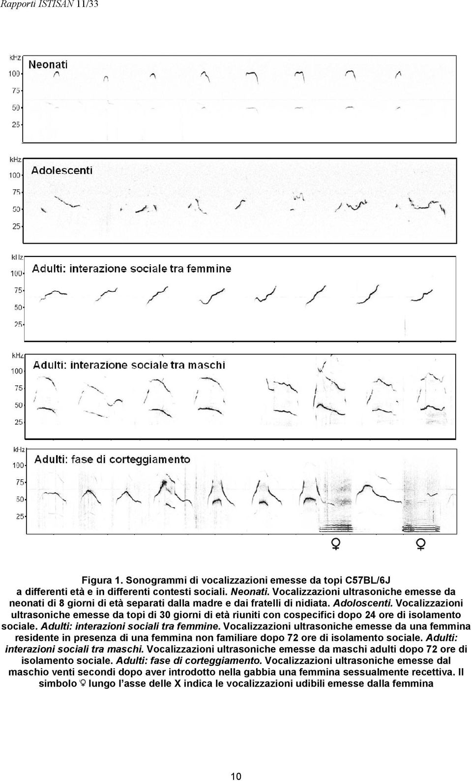 Vocalizzazioni ultrasoniche emesse da topi di 30 giorni di età riuniti con cospecifici dopo 24 ore di isolamento sociale. Adulti: interazioni sociali tra femmine.