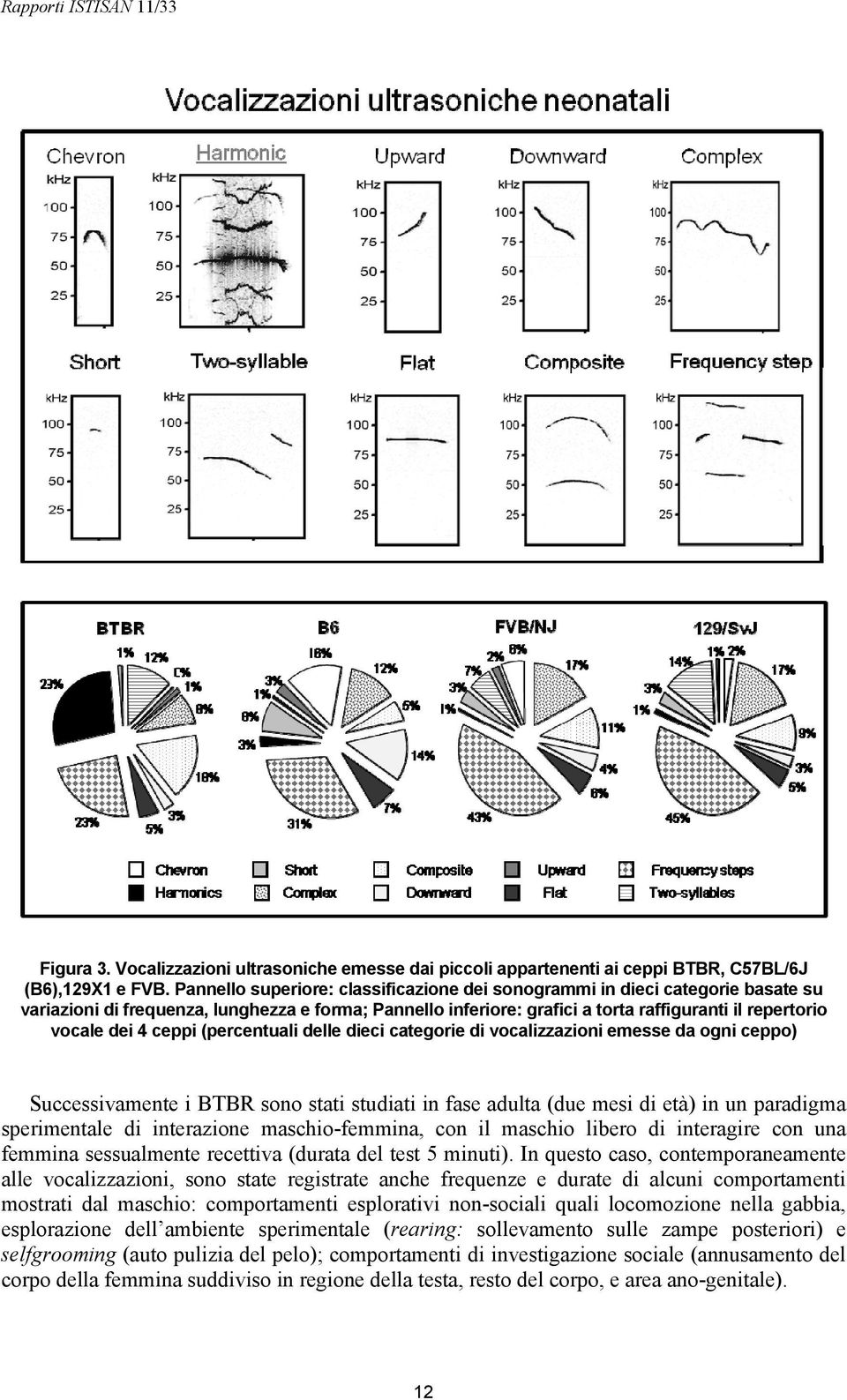 ceppi (percentuali delle dieci categorie di vocalizzazioni emesse da ogni ceppo) Successivamente i BTBR sono stati studiati in fase adulta (due mesi di età) in un paradigma sperimentale di