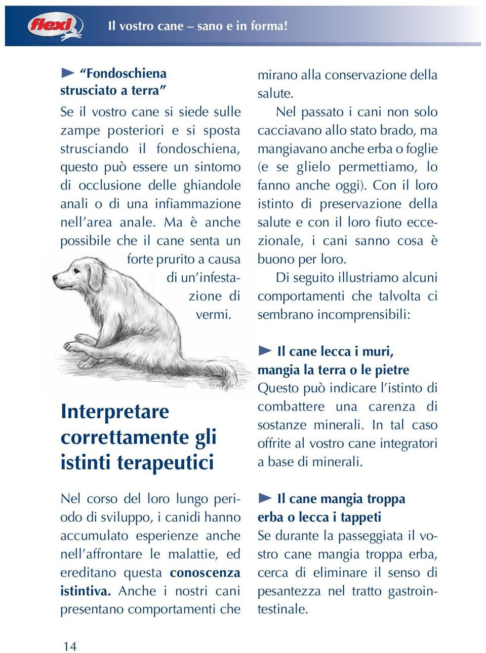 infiammazione nell area anale. Ma è anche possibile che il cane senta un forte prurito a causa di un infestazione di vermi.