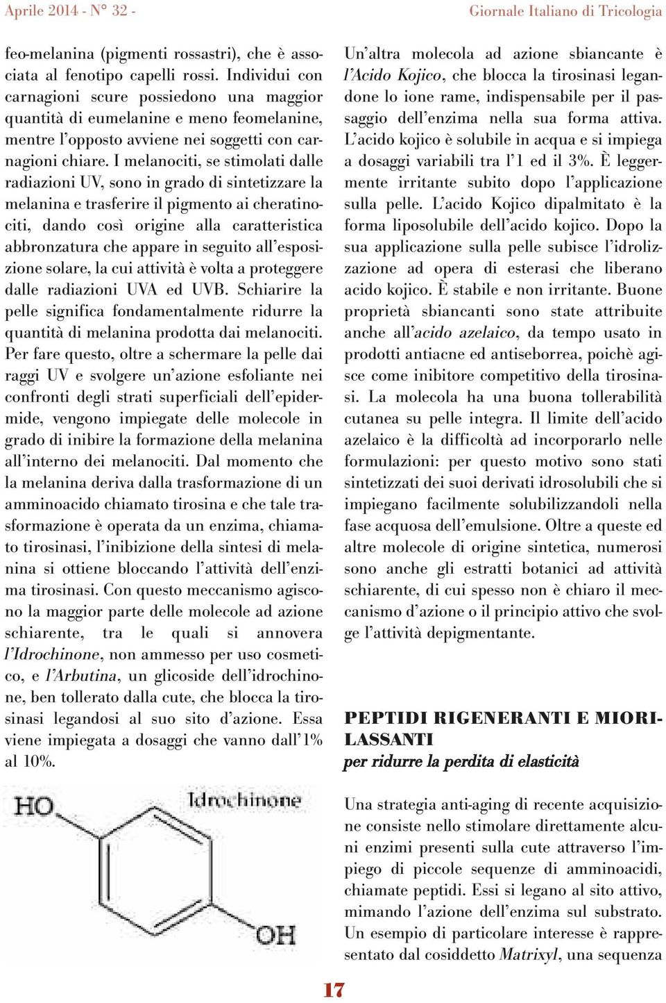 I melanociti, se stimolati dalle radiazioni UV, sono in grado di sintetizzare la melanina e trasferire il pigmento ai cheratinociti, dando così origine alla caratteristica abbronzatura che appare in