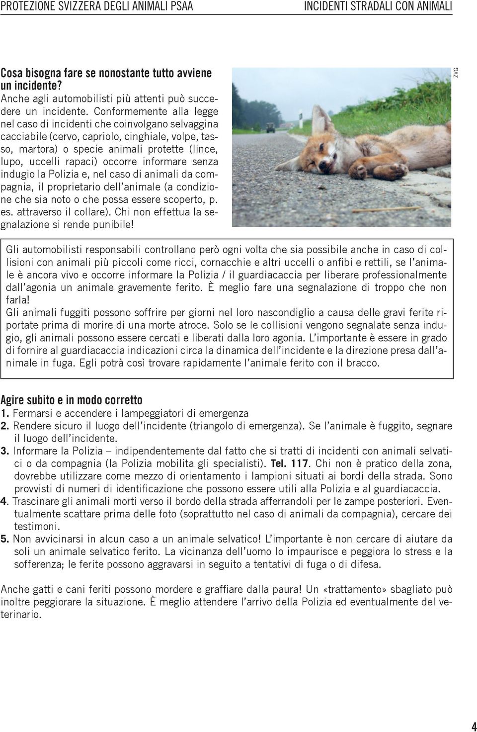 occorre informare senza indugio la Polizia e, nel caso di animali da compagnia, il proprietario dell animale (a condizione che sia noto o che possa essere scoperto, p. es. attraverso il collare).