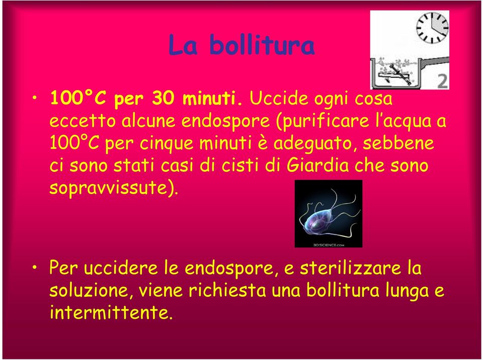 cinque minuti è adeguato, sebbene ci sono stati casi di cisti di Giardia che