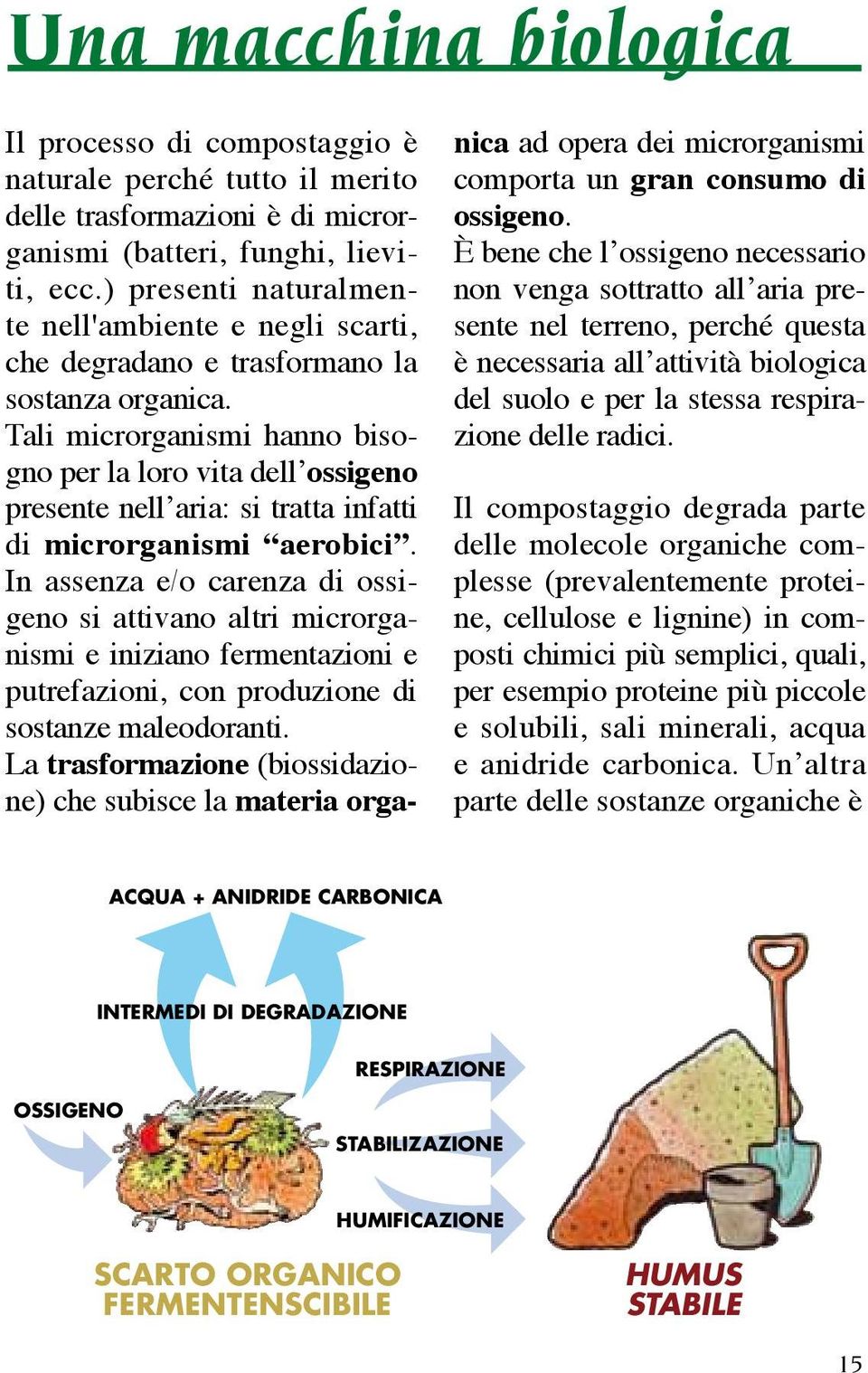 Tali microrganismi hanno bisogno per la loro vita dell ossigeno presente nell aria: si tratta infatti di microrganismi aerobici.