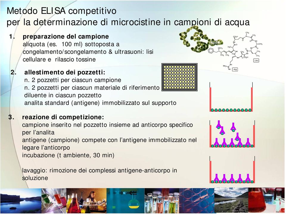 2 pozzetti per ciascun materiale di riferimento diluente in ciascun pozzetto analita standard (antigene) immobilizzato sul supporto 3.