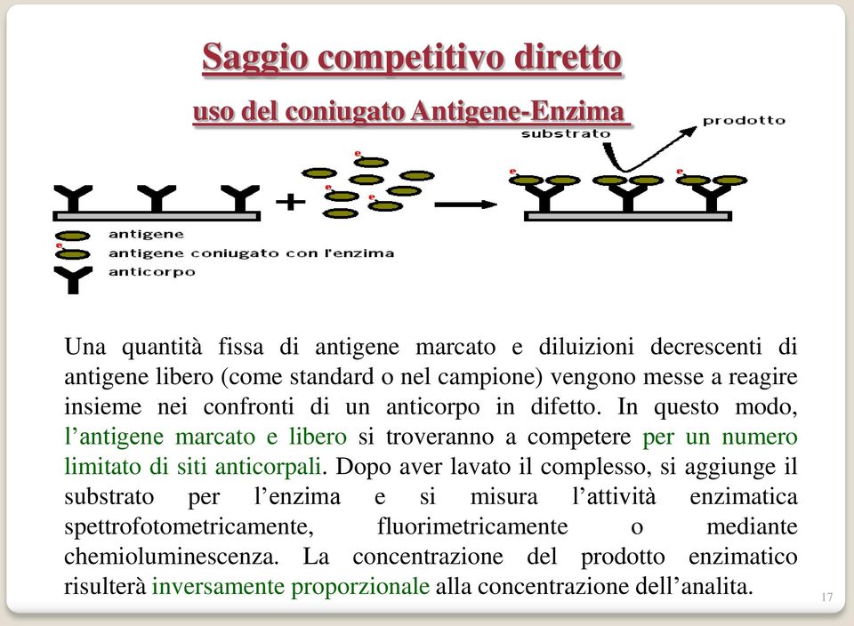 In questo modo, l antigene marcato e libero si troveranno a competere per un numero limitato di siti anticorpali.