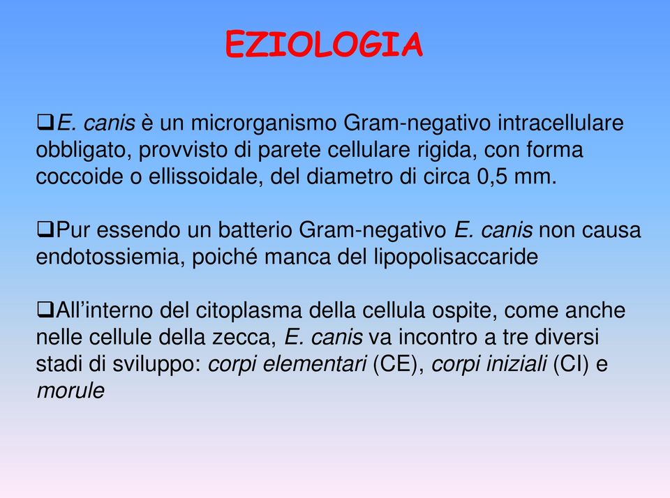 coccoide o ellissoidale, del diametro di circa 0,5 mm. Pur essendo un batterio Gram-negativo E.