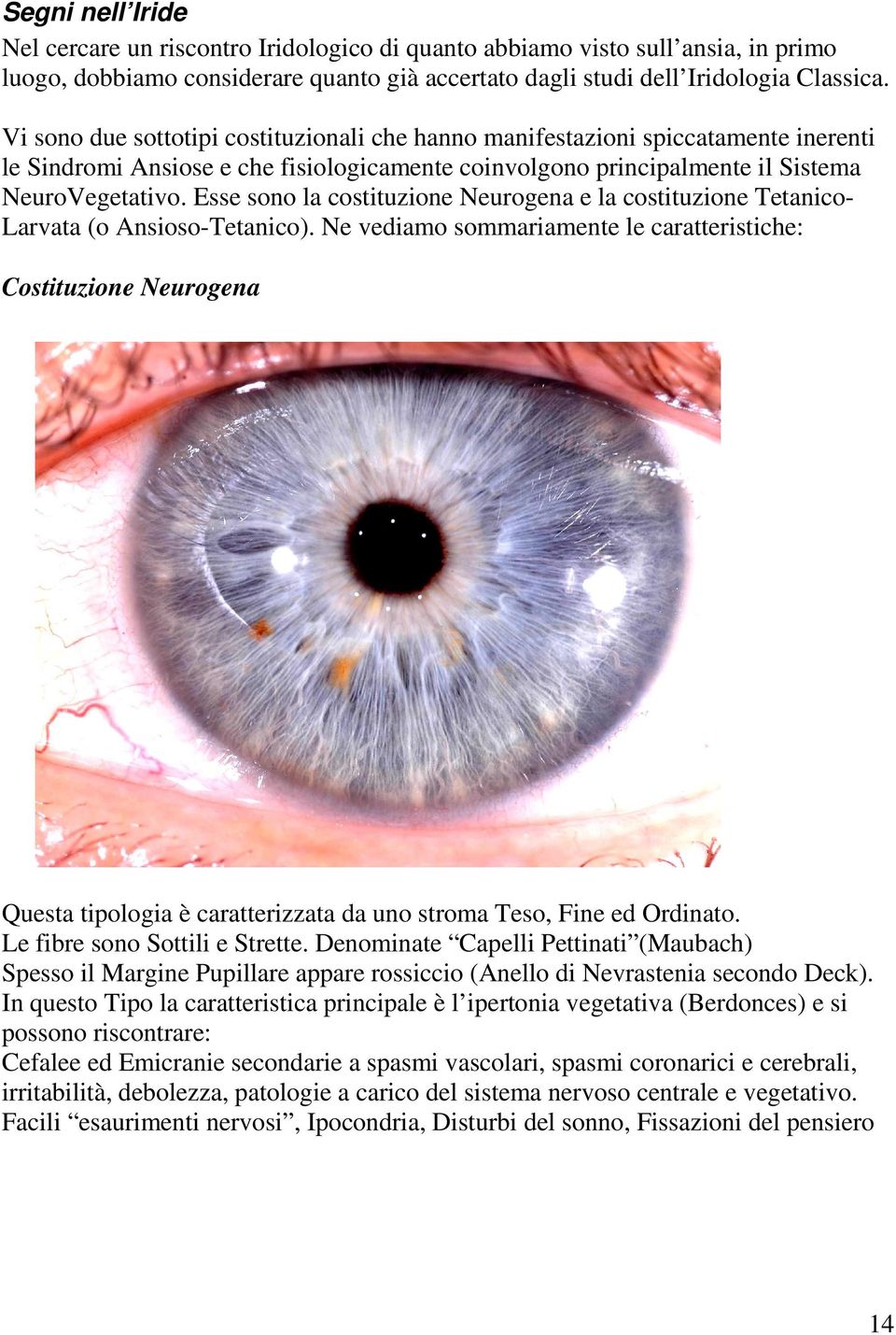 Esse sono la costituzione Neurogena e la costituzione Tetanico- Larvata (o Ansioso-Tetanico).