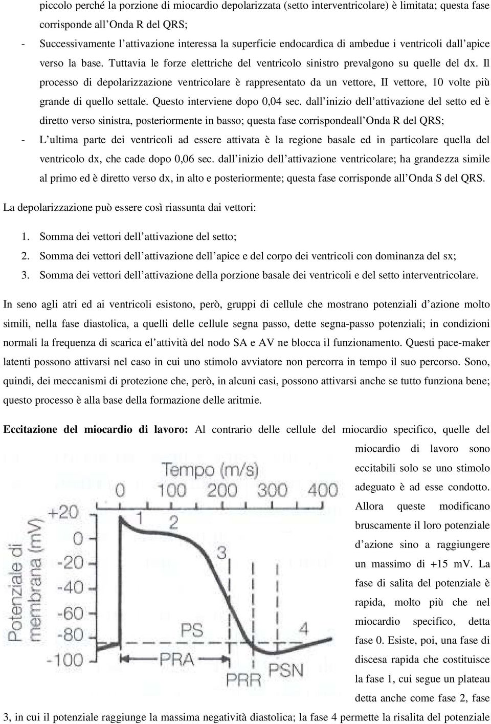 Il processo di depolarizzazione ventricolare è rappresentato da un vettore, II vettore, 10 volte più grande di quello settale. Questo interviene dopo 0,04 sec.