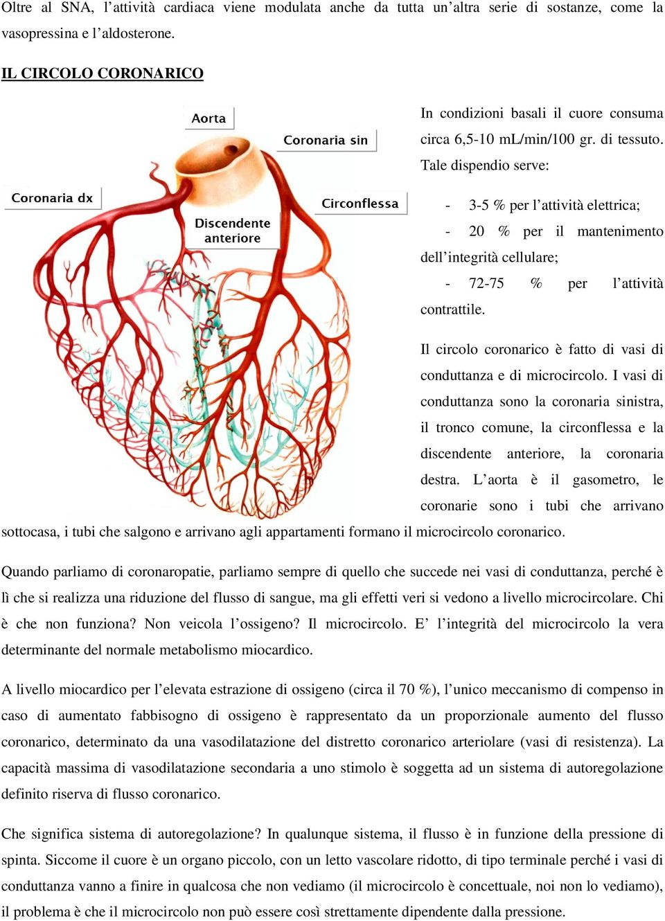 Tale dispendio serve: - 3-5 % per l attività elettrica; - 20 % per il mantenimento dell integrità cellulare; - 72-75 % per l attività contrattile.