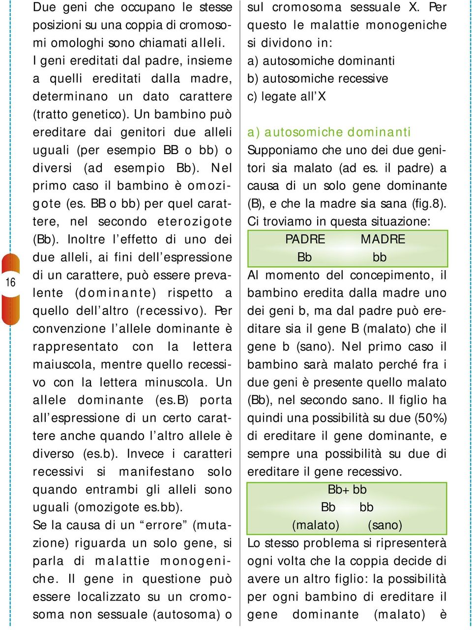 Un bambino può ereditare dai genitori due alleli uguali (per esempio BB o bb) o diversi (ad esempio Bb). Nel primo caso il bambino è omozigote (es.