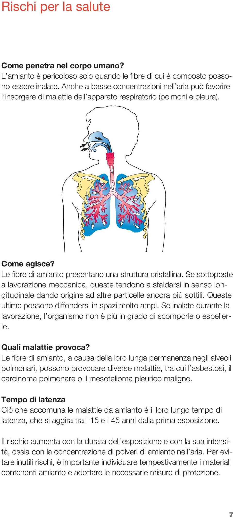 Se sottoposte a lavorazione meccanica, queste tendono a sfaldarsi in senso longitudinale dando origine ad altre particelle ancora più sottili. Queste ultime possono diffondersi in spazi molto ampi.