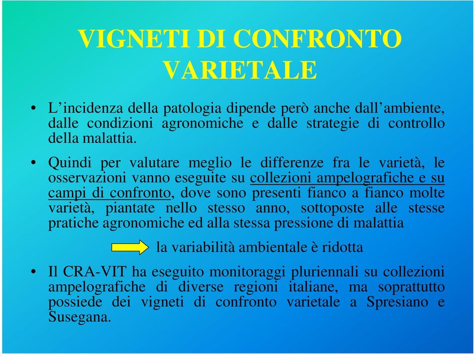 fianco molte varietà, piantate nello stesso anno, sottoposte alle stesse pratiche agronomiche ed alla stessa pressione di malattia la variabilità ambientale è ridotta Il