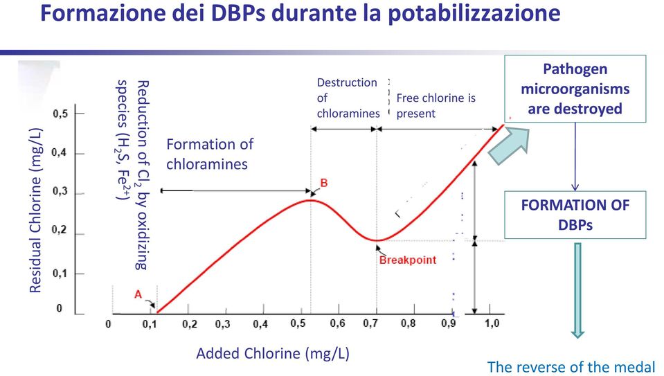 chloramines Destruction of chloramines Free chlorine is present Pathogen