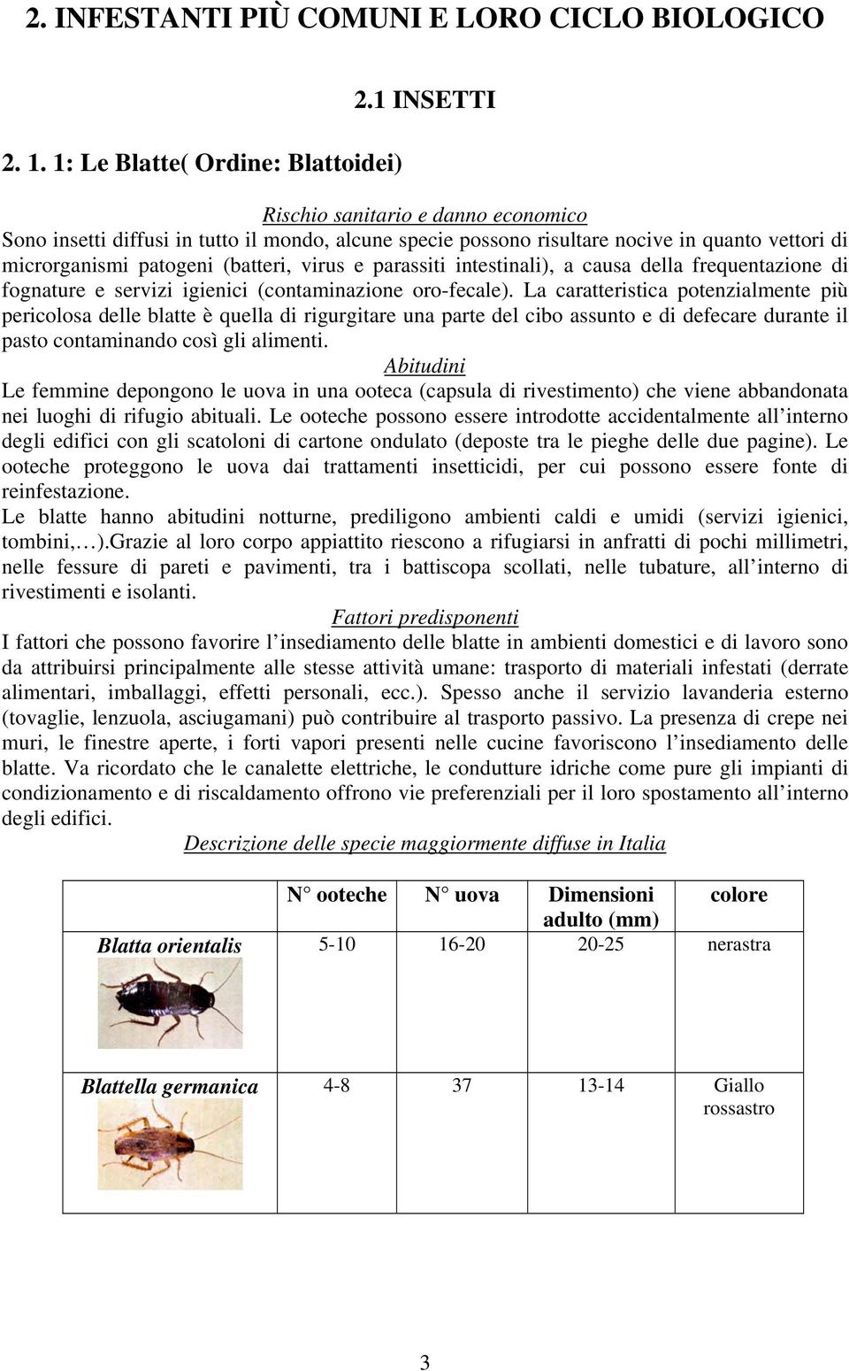 intestinali), a causa della frequentazione di fognature e servizi igienici (contaminazione oro-fecale).