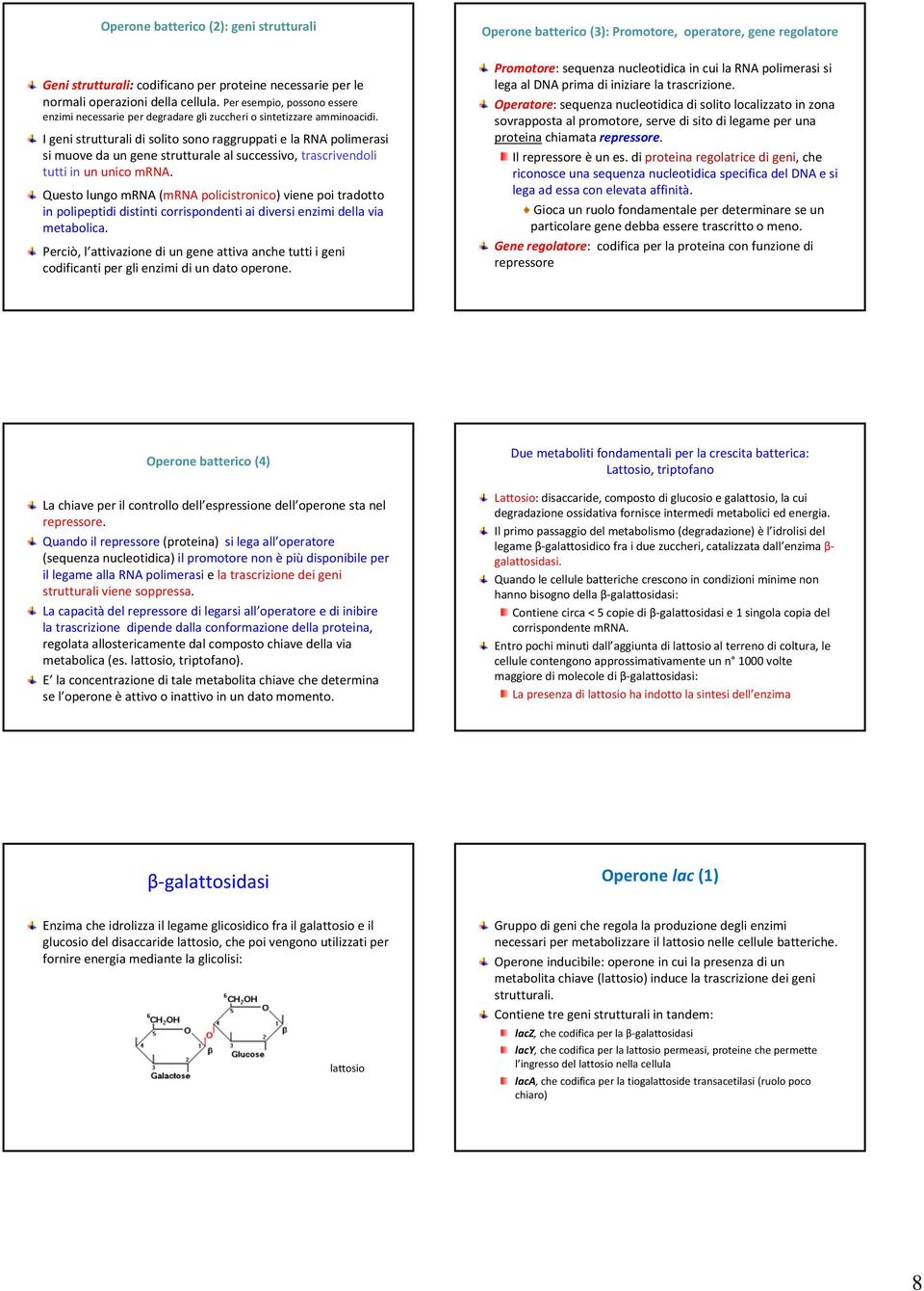 I geni strutturali di solito sono raggruppati e la RNA polimerasi si muove da un gene strutturale al successivo, trascrivendoli tutti in un unico mrna.