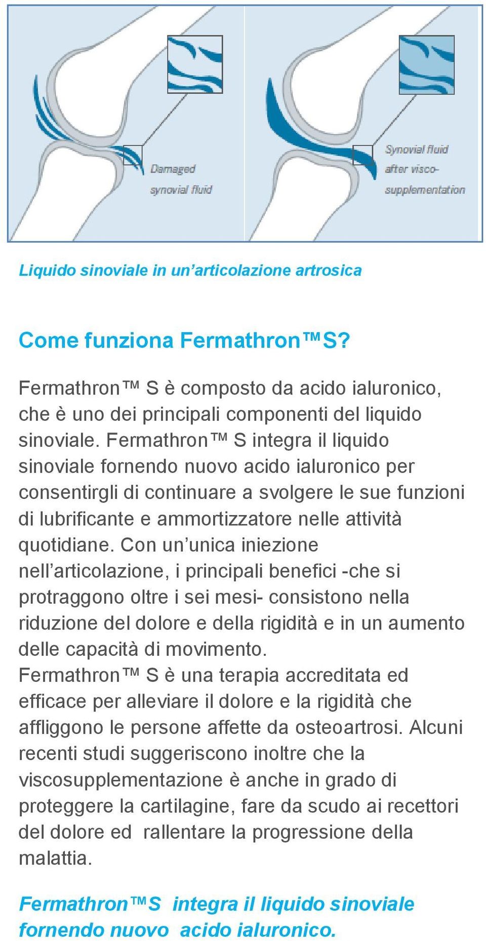 Con un unica iniezione nell articolazione, i principali benefici -che si protraggono oltre i sei mesi- consistono nella riduzione del dolore e della rigidità e in un aumento delle capacità di