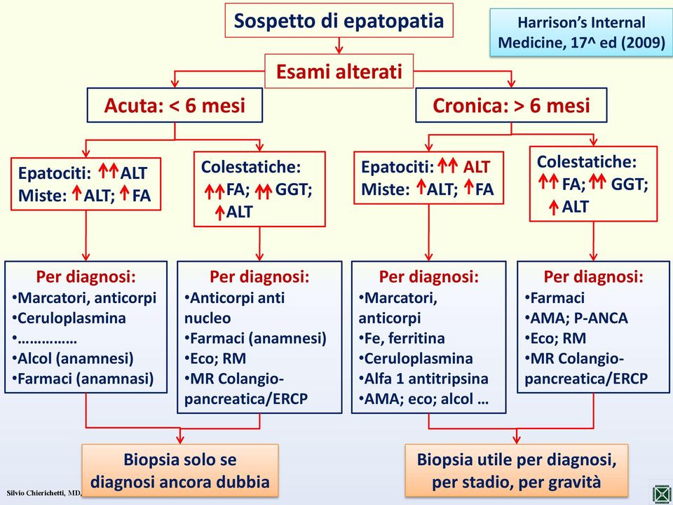 Anticorpi anti nucleo Farmaci (anamnesi) Eco; RM MR Colangiopancreatica/ERCP Per diagnosi: Marcatori, anticorpi Fe, ferritina Ceruloplasmina Alfa 1 antitripsina AMA;