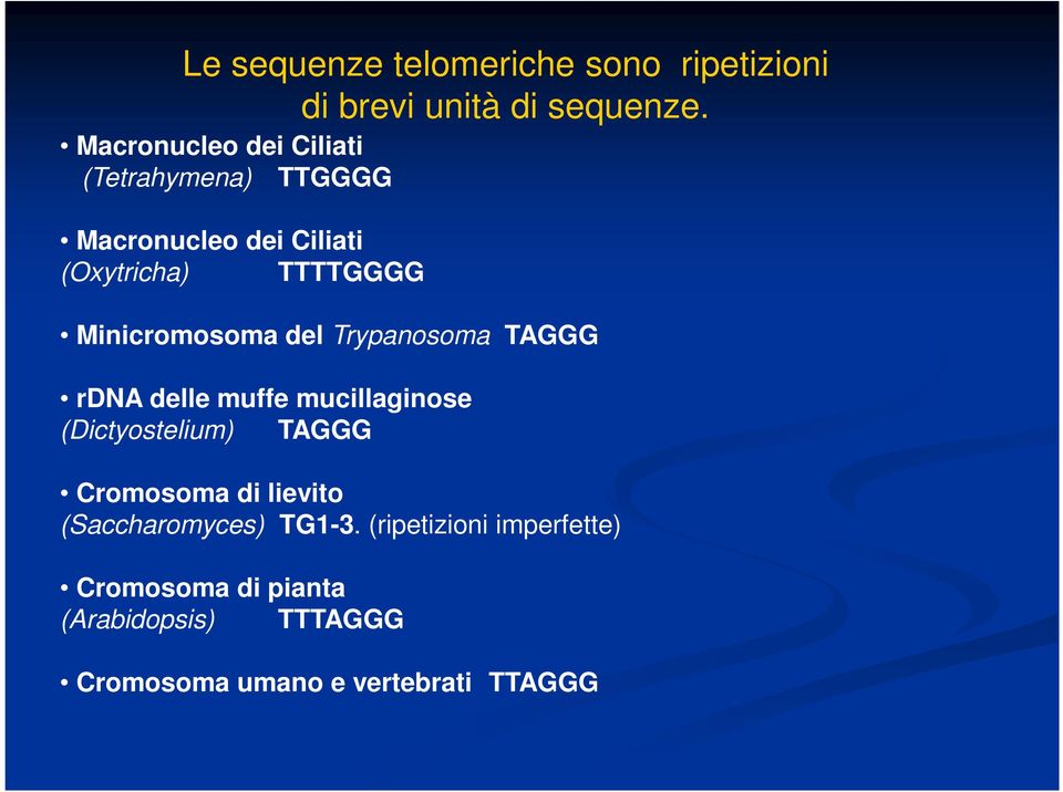 Minicromosoma del Trypanosoma TAGGG rdna delle muffe mucillaginose (Dictyostelium) TAGGG Cromosoma