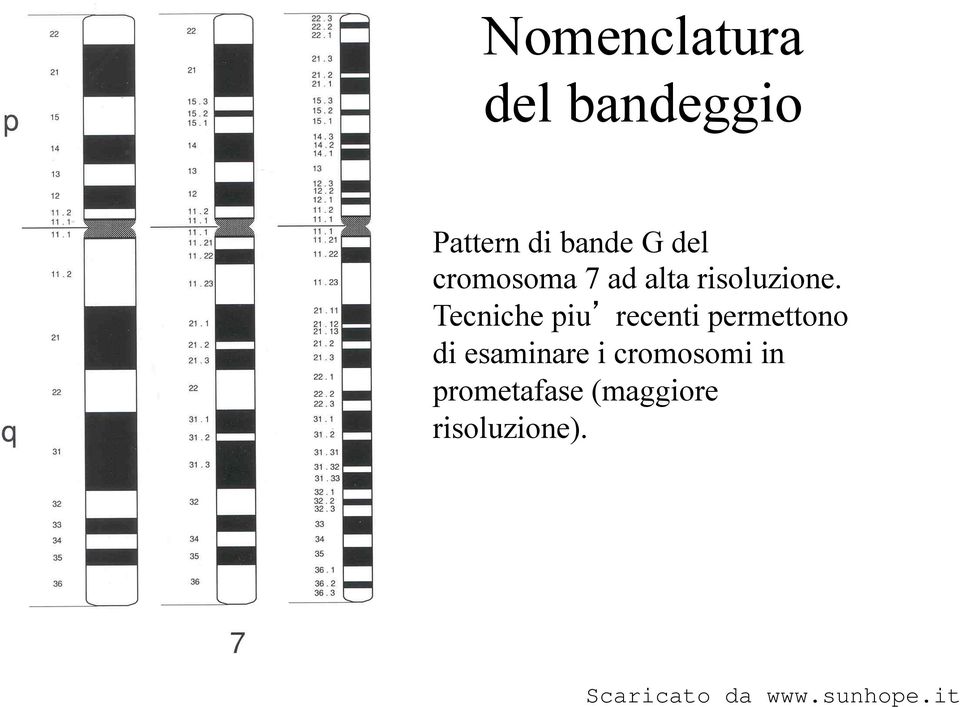 Tecniche piu recenti permettono di esaminare