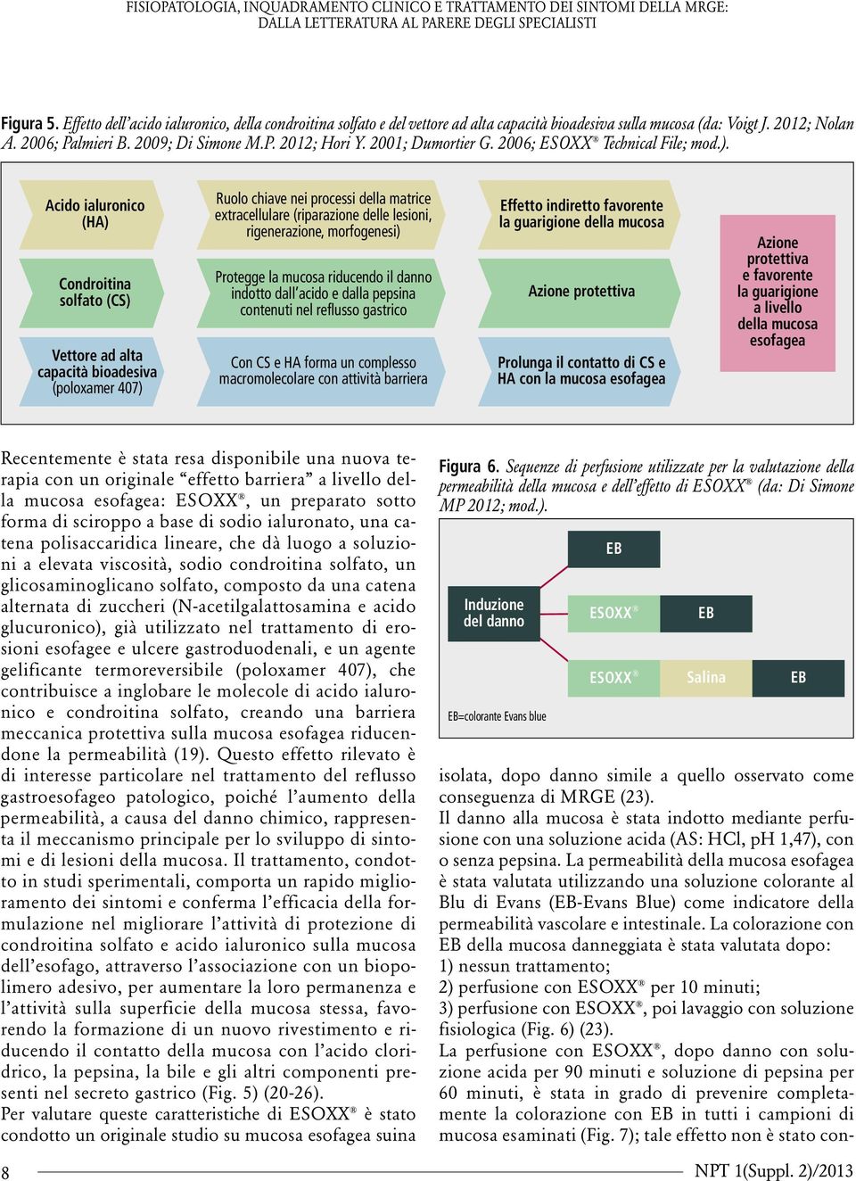 Acido ialuronico (HA) Condroitina solfato (CS) Vettore ad alta capacità bioadesiva (poloxamer 407) Ruolo chiave nei processi della matrice extracellulare (riparazione delle lesioni, rigenerazione,