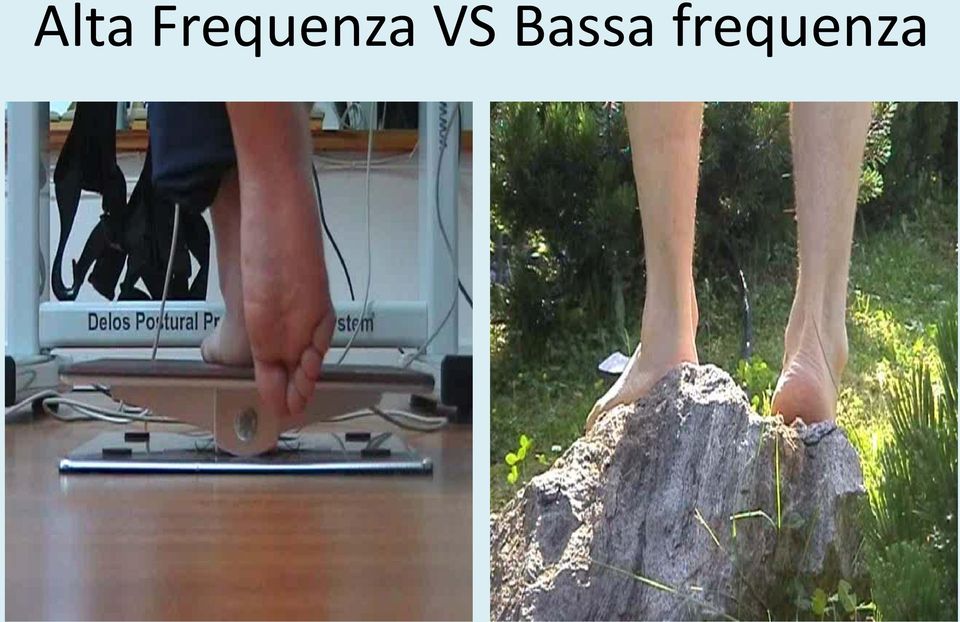 VS Bassa