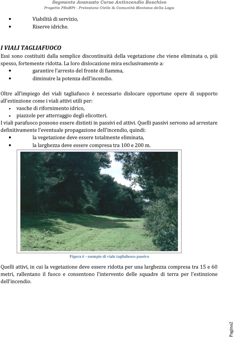 Oltre all impiego dei viali tagliafuoco è necessario dislocare opportune opere di supporto all estinzione come i viali attivi utili per: vasche di rifornimento idrico, piazzole per atterraggio degli