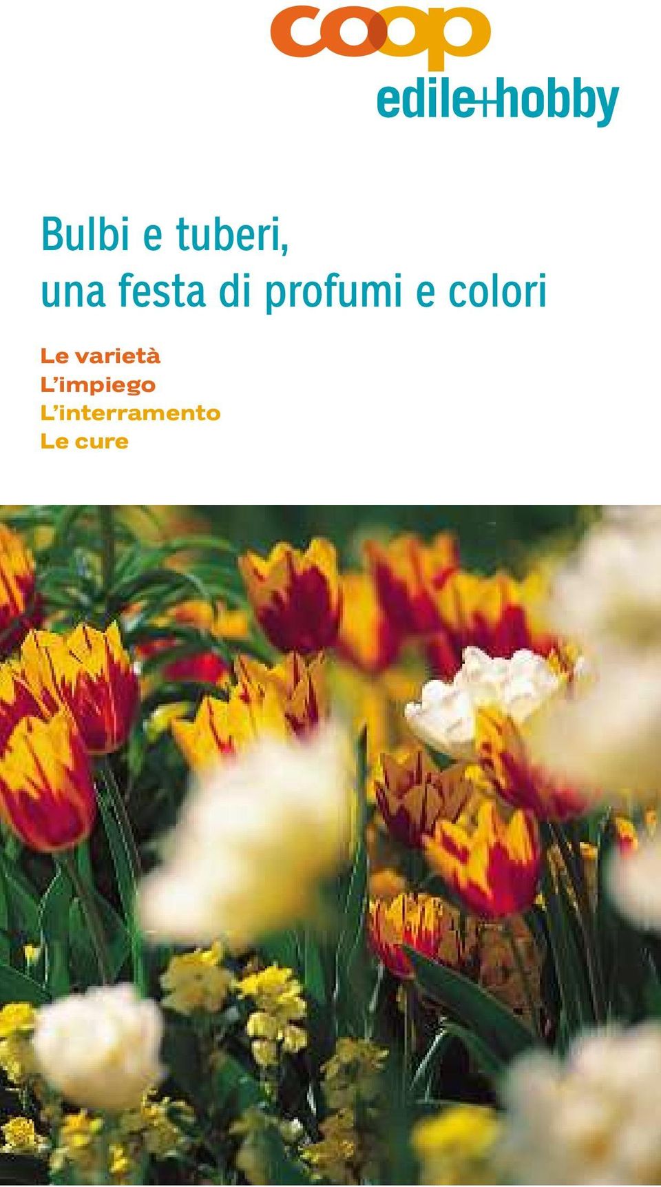 colori Le varietà L