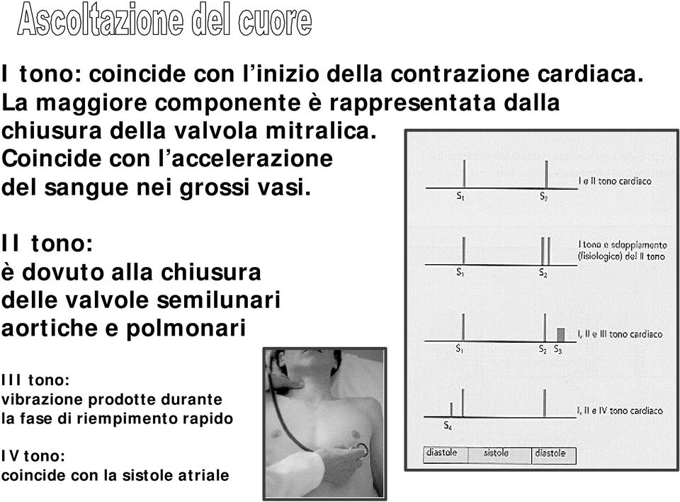 Coincide con l accelerazione del sangue nei grossi vasi.