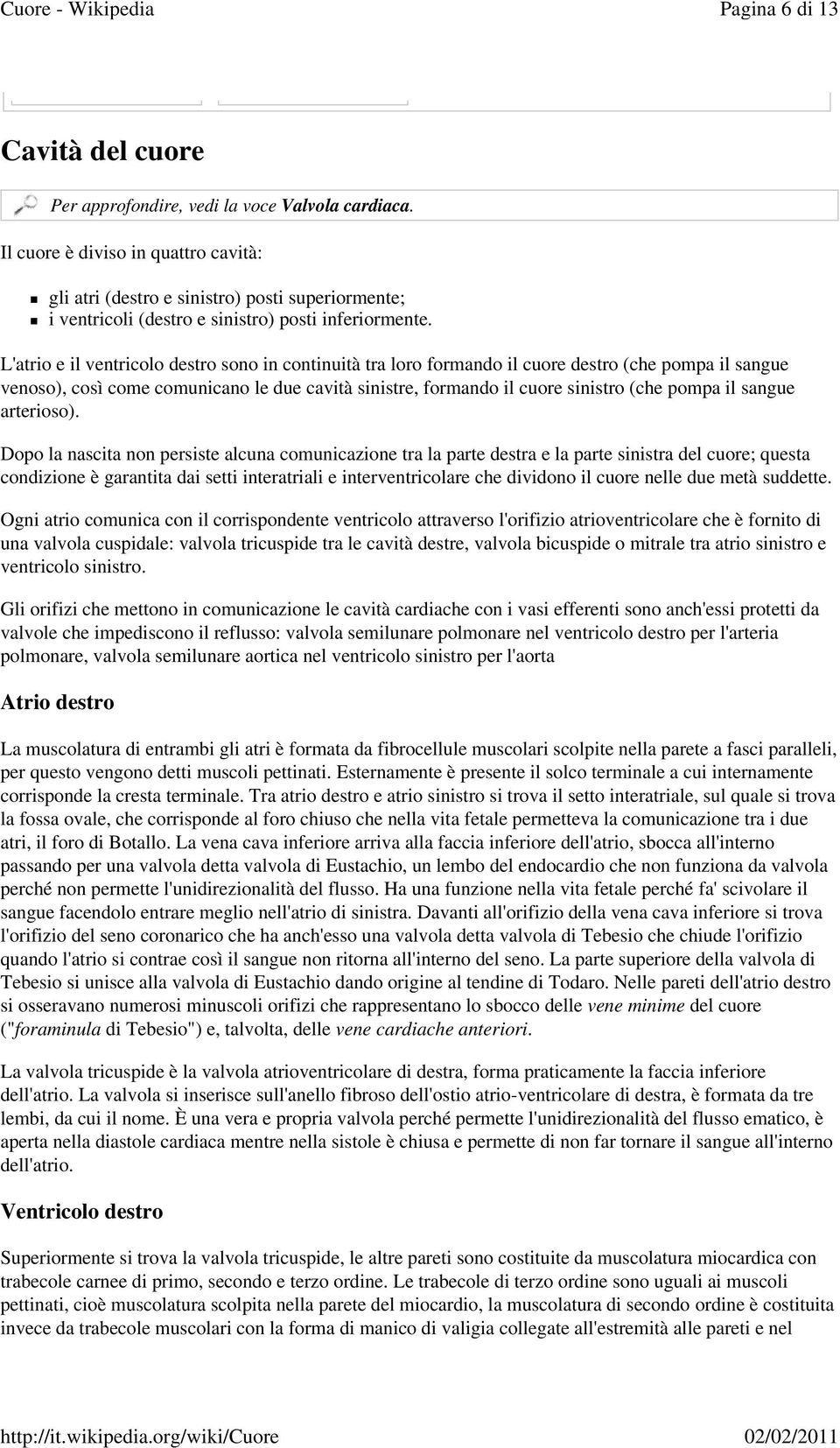 L'atrio e il ventricolo destro sono in continuità tra loro formando il cuore destro (che pompa il sangue venoso), così come comunicano le due cavità sinistre, formando il cuore sinistro (che pompa il