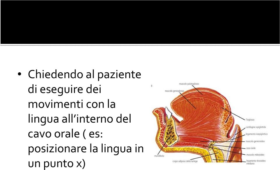 lingua all interno del cavo