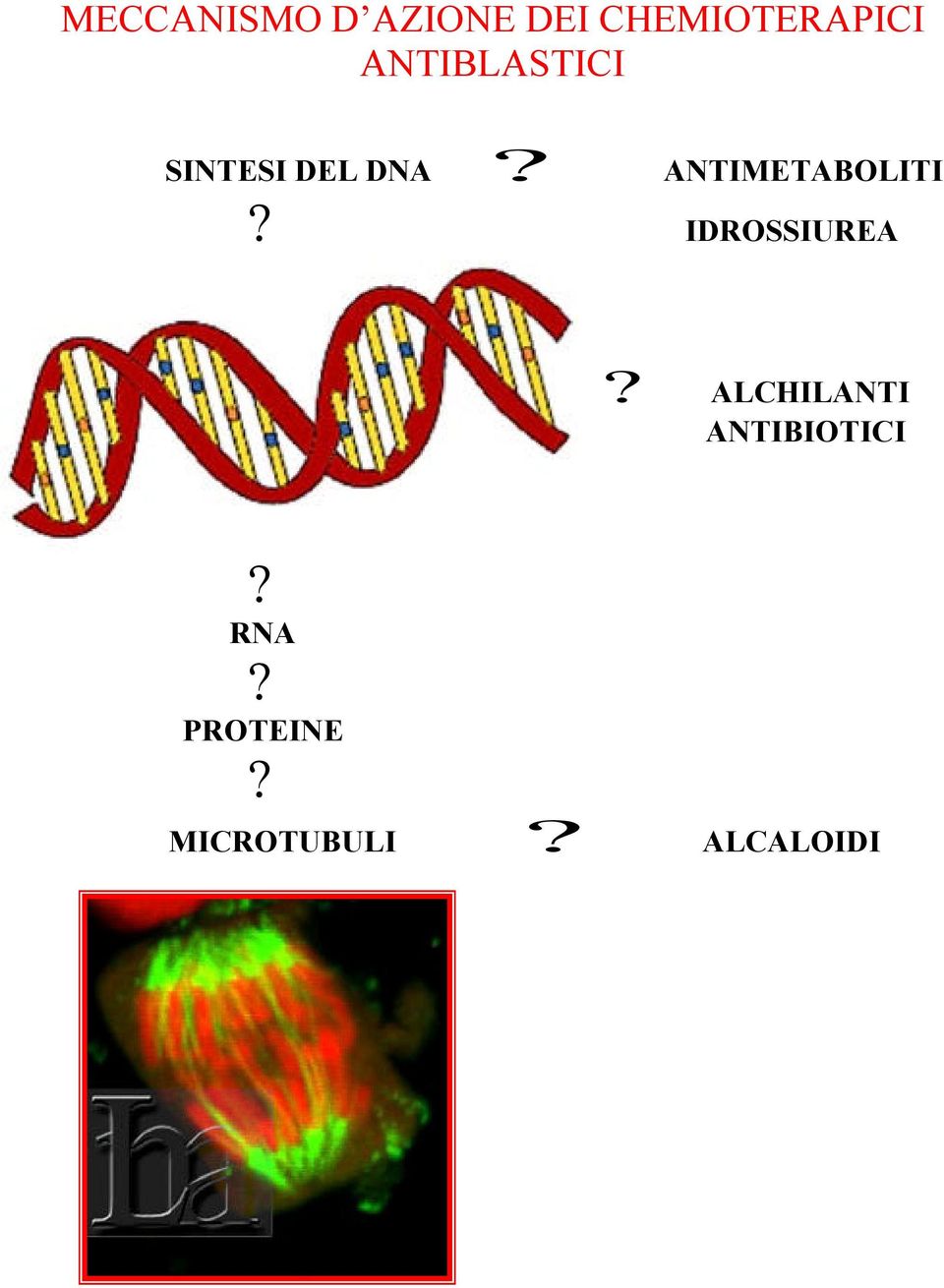 ANTIMETABOLITI? IDROSSIUREA?