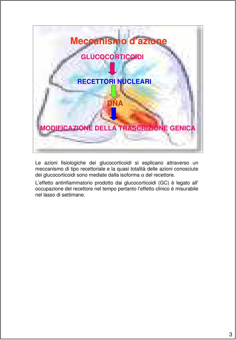 conosciute dei glucocorticoidi sono mediate dalla isoforma α del recettore.