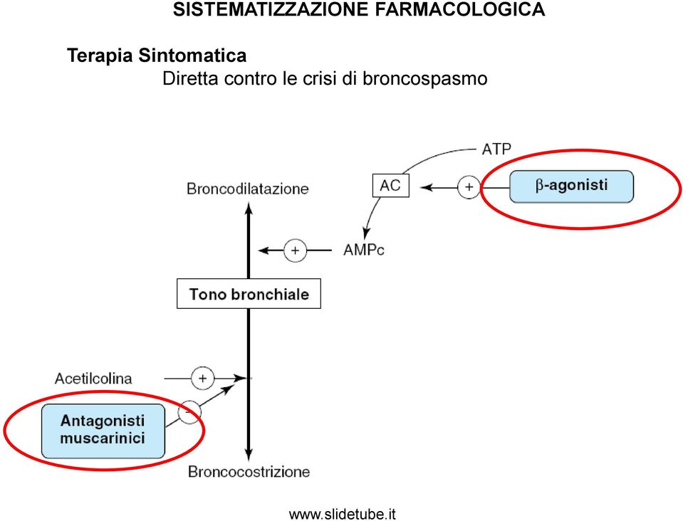 Sintomatica Diretta