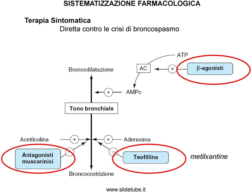 Sintomatica Diretta