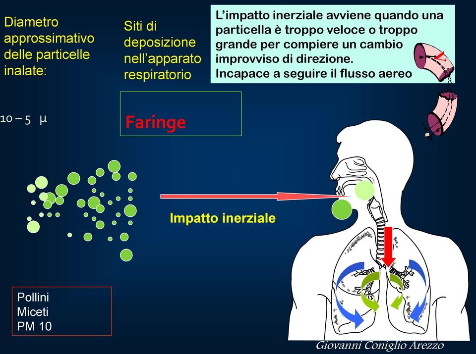 troppo veloce o troppo grande per compiere un cambio improvviso di direzione.