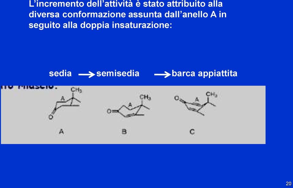 assunta dall anello A in seguito alla