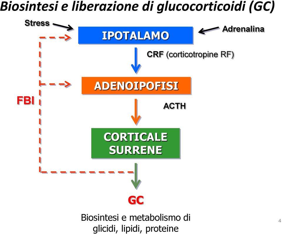 Adrenalina BI AEIPISI ACT CRTICALE SURREE GC