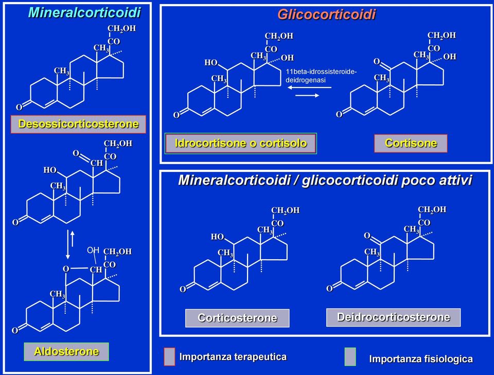 Idrocortisone o cortisolo Cortisone Mineralcorticoidi / glicocorticoidi poco attivi C C 3