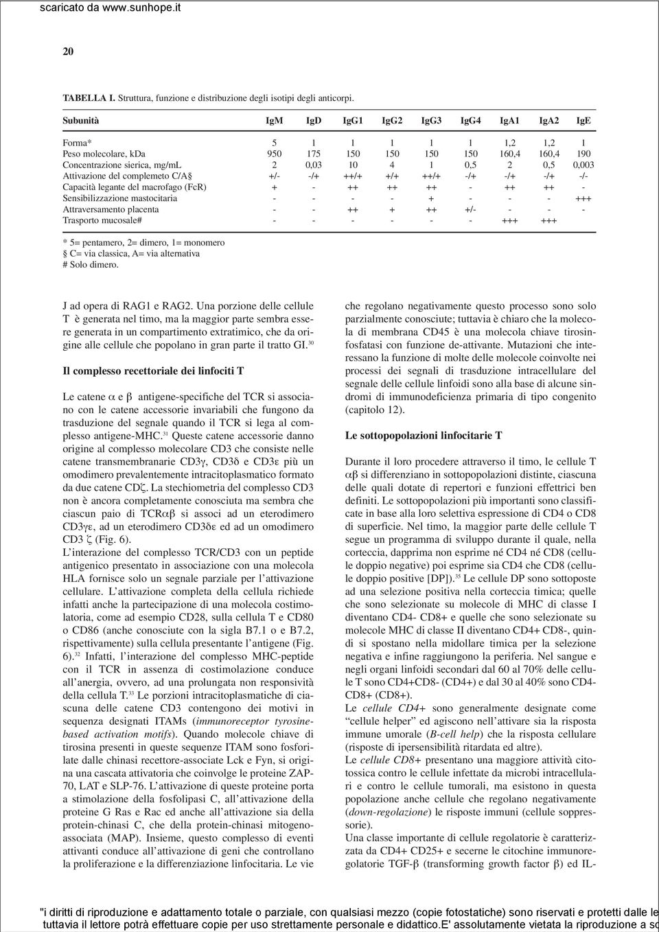 0,003 Attivazione del complemeto C/A +/- -/+ ++/+ +/+ ++/+ -/+ -/+ -/+ -/- Capacità legante del macrofago (FcR) + - ++ ++ ++ - ++ ++ - Sensibilizzazione mastocitaria - - - - + - - - +++