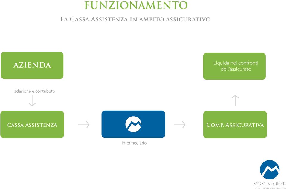 dell assicurato adesione e contributo cassa