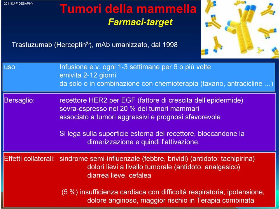 sovra-espresso nel 20 % dei tumori mammari associato a tumori aggressivi e prognosi sfavorevole Si lega sulla superficie esterna del recettore, bloccandone la dimerizzazione e quindi l attivazione.