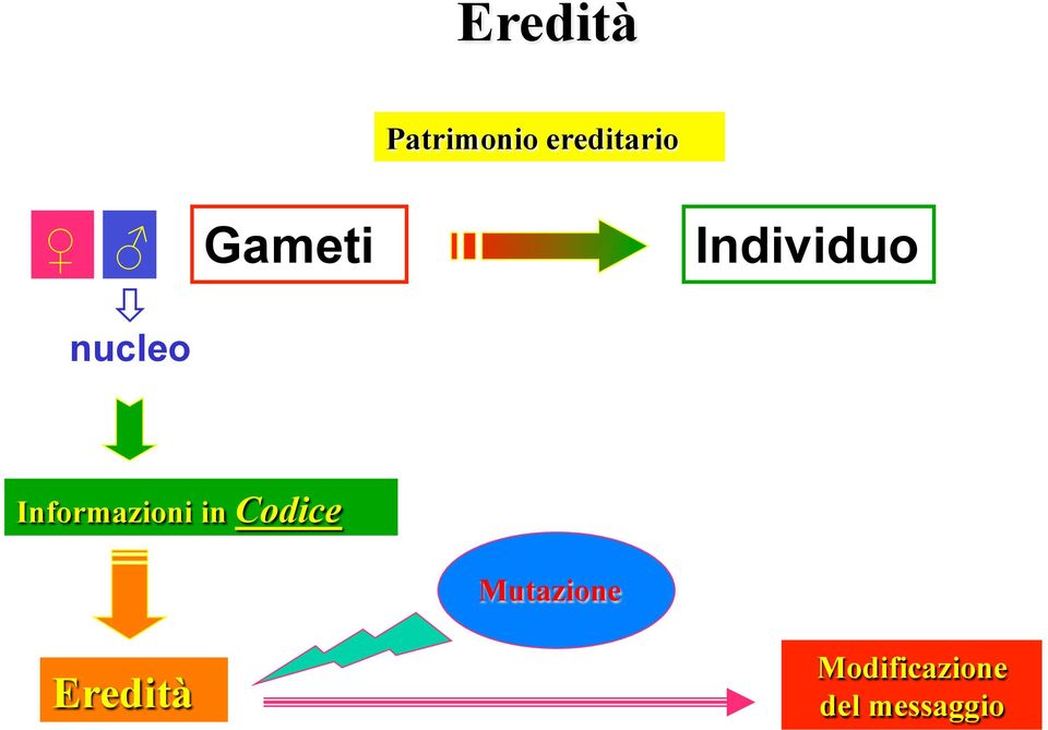 Informazioni in Codice