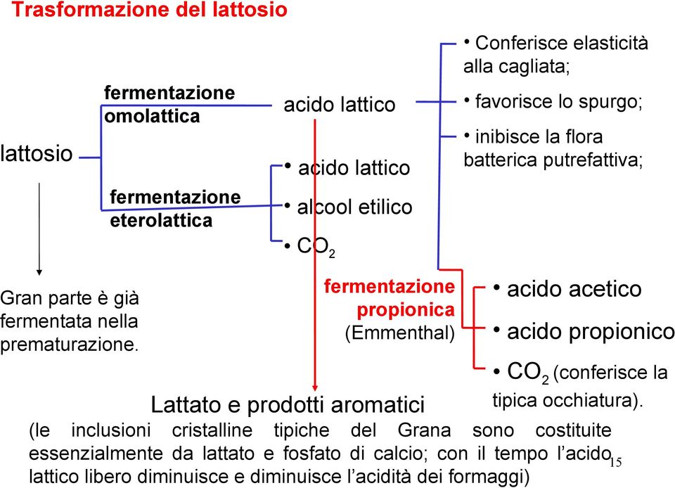 CO 2 fermentazione propionica (Emmenthal) Lattato e prodotti aromatici acido acetico acido propionico CO 2 (conferisce la tipica occhiatura).