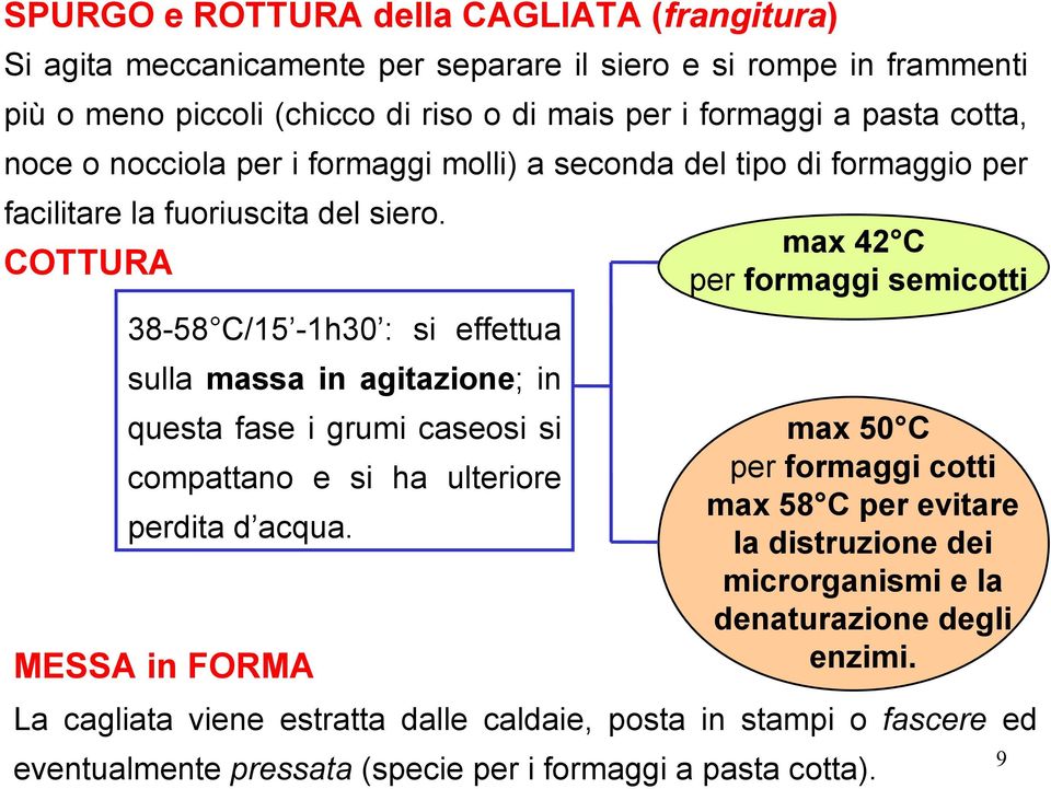 COTTURA 38-58 C/15-1h30 : si effettua sulla massa in agitazione; in questa fase i grumi caseosi si compattano e si ha ulteriore perdita d acqua.