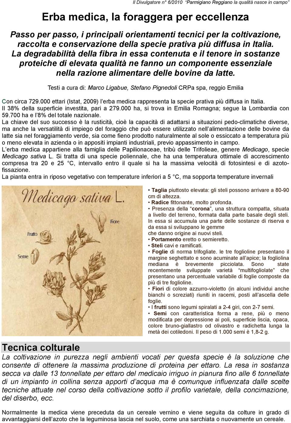 La degradabilità della fibra in essa contenuta e il tenore in sostanze proteiche di elevata qualità ne fanno un componente essenziale nella razione alimentare delle bovine da latte.