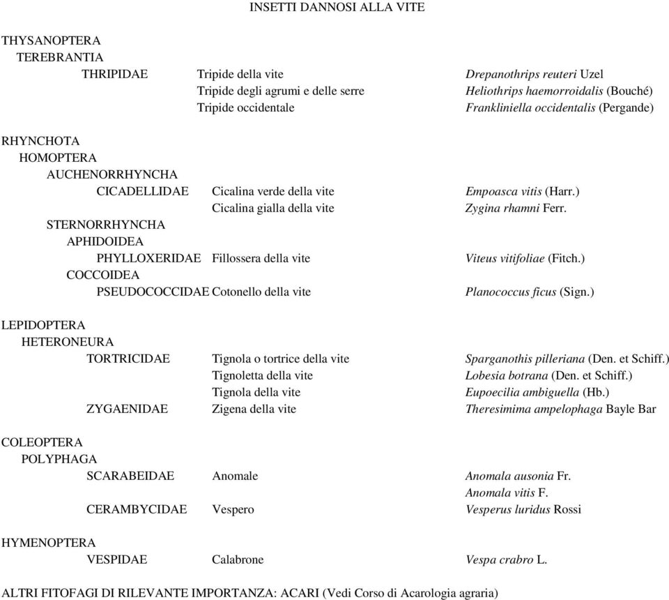STERNORRHYNCHA APHIDOIDEA PHYLLOXERIDAE Fillossera della vite Viteus vitifoliae (Fitch.) COCCOIDEA PSEUDOCOCCIDAE Cotonello della vite Planococcus ficus (Sign.