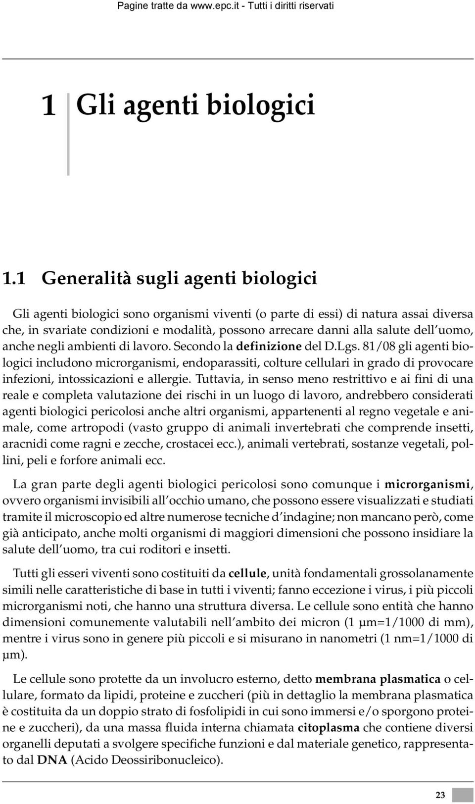 dell uomo, anche negli ambienti di lavoro. Secondo la definizione del D.Lgs.