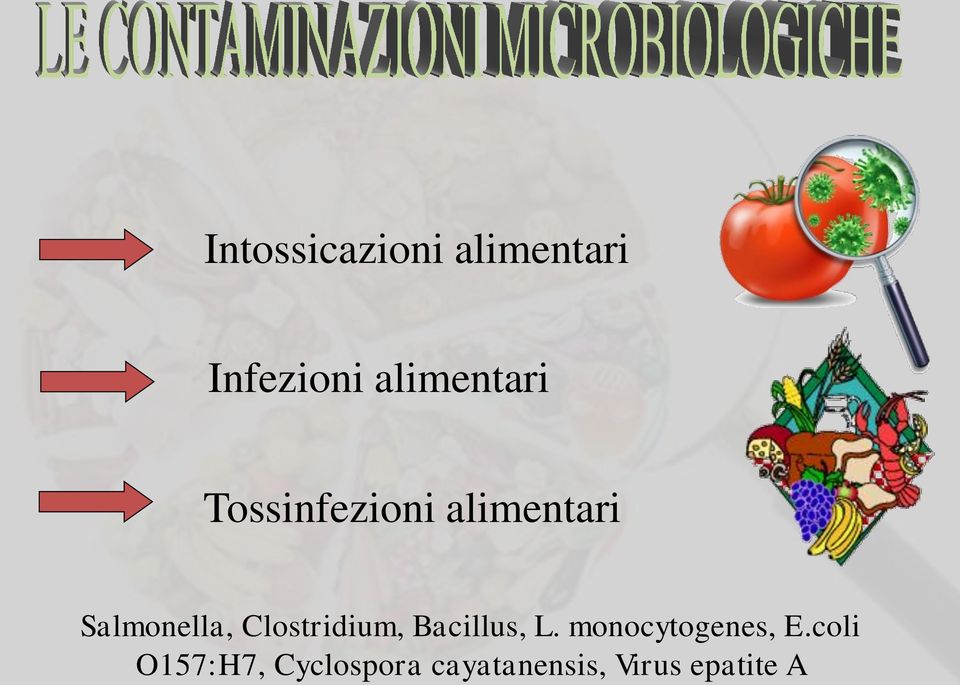 Salmonella, Clostridium, Bacillus, L.